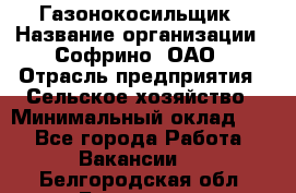 Газонокосильщик › Название организации ­ Софрино, ОАО › Отрасль предприятия ­ Сельское хозяйство › Минимальный оклад ­ 1 - Все города Работа » Вакансии   . Белгородская обл.,Белгород г.